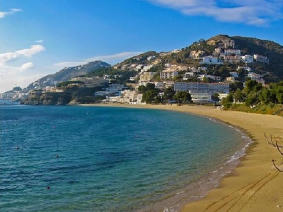 Golden Bay * Roses